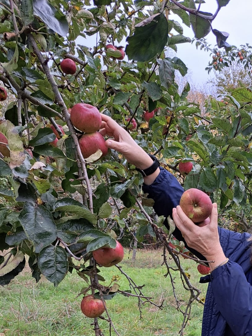 8b751008-5ad1-4d2c-b61f-677375db7d15