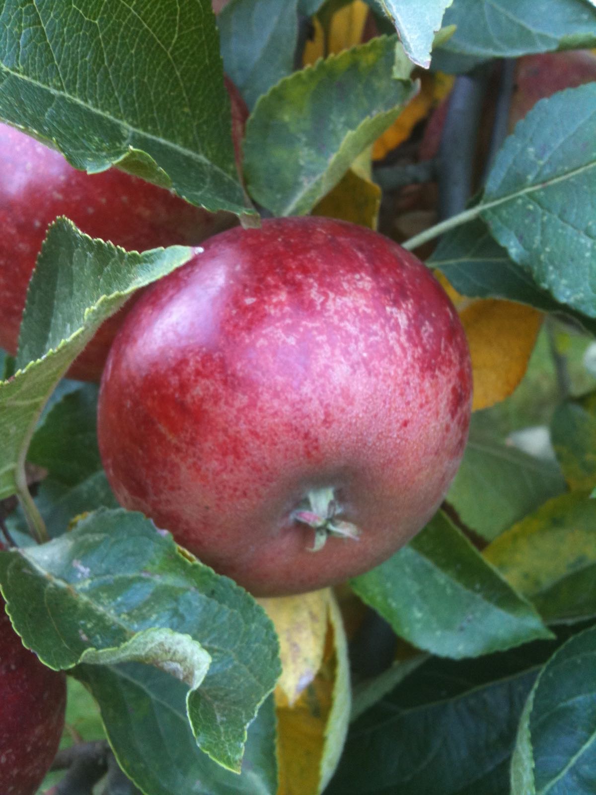 e24d0f90-5259-49bb-aafc-e27813e31379